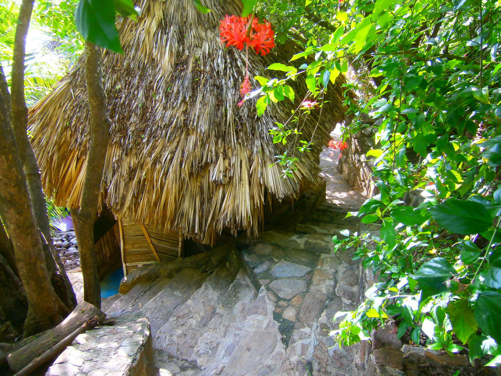 Lo Cosmico Hotel Zipolite Buitenkant foto